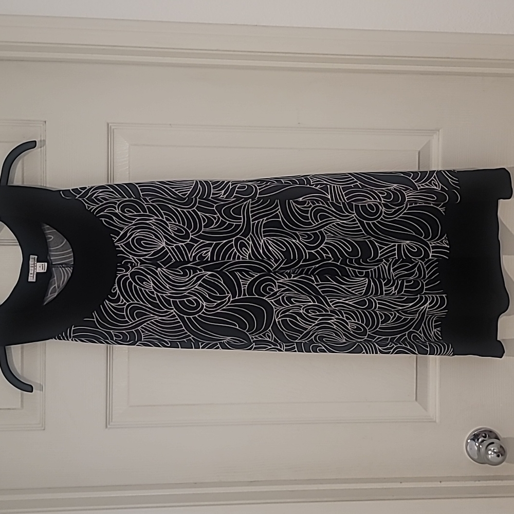 En Focus Dress